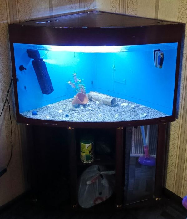 Uglavoy uchburche akvarium sotiladi 
150 litr aybi yoq but butun kampl