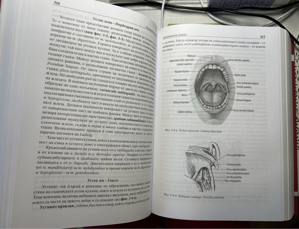 Анатомия на човека (учебник по анатомия)