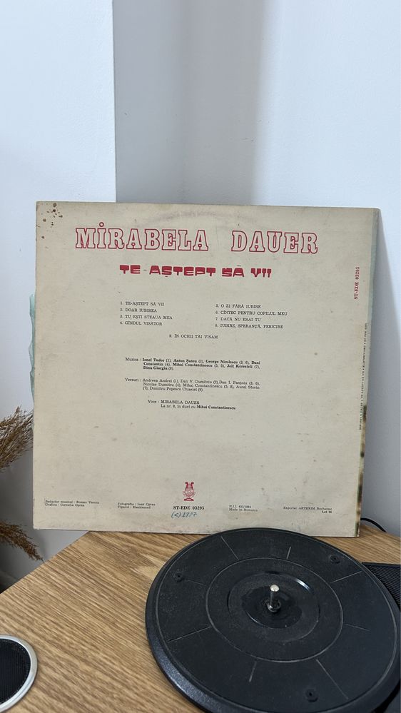 Vand vinyl Mirabela Dauer