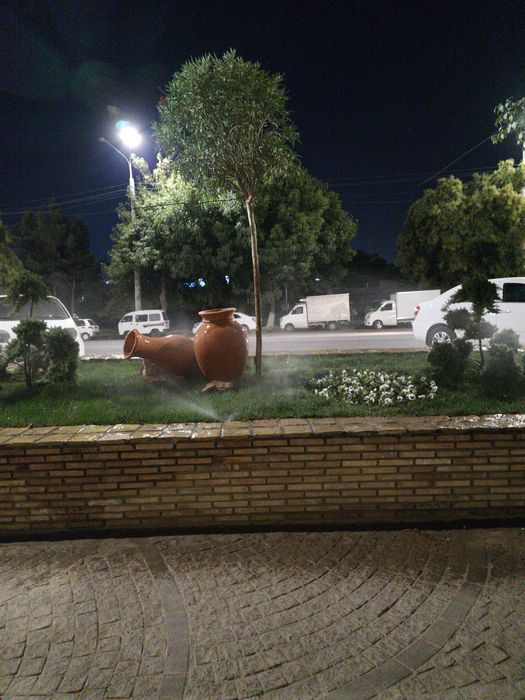 Газон дарахд арезка