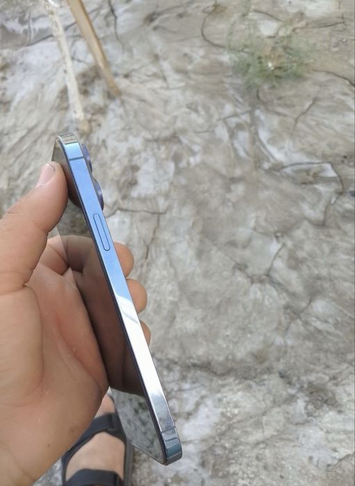 iPhone 13 Pro Max 256/100%