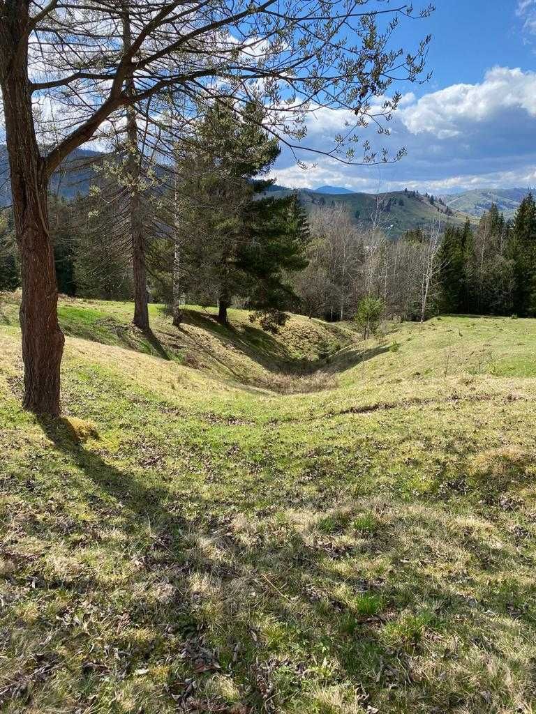 Teren 41.541 m² în Moldovița, Bucovina – 105.000 €