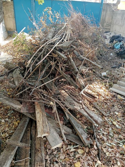 Дрова. Сухие ветки ,доски. Отдам бесплатно