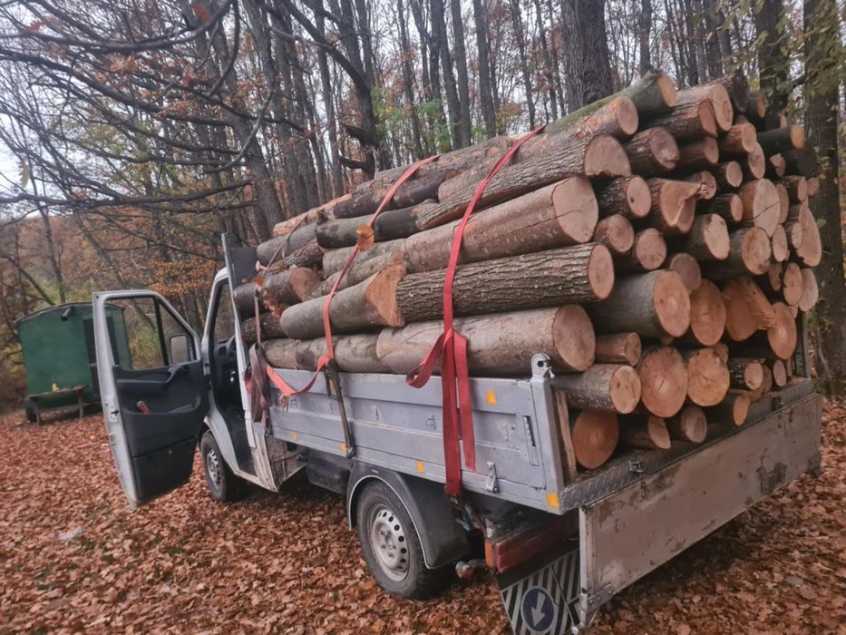 Vand lemn de foc la un pret acesibil