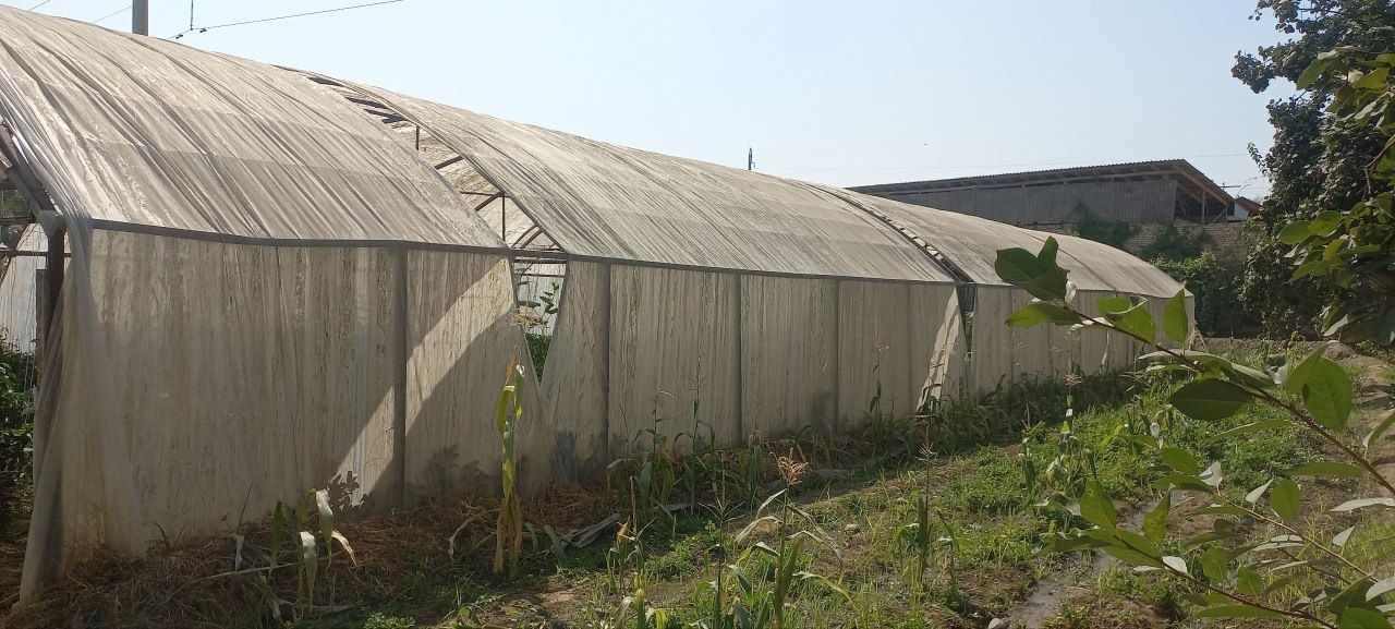 Hovli sotiladi, 1 sotixi $4500 dan