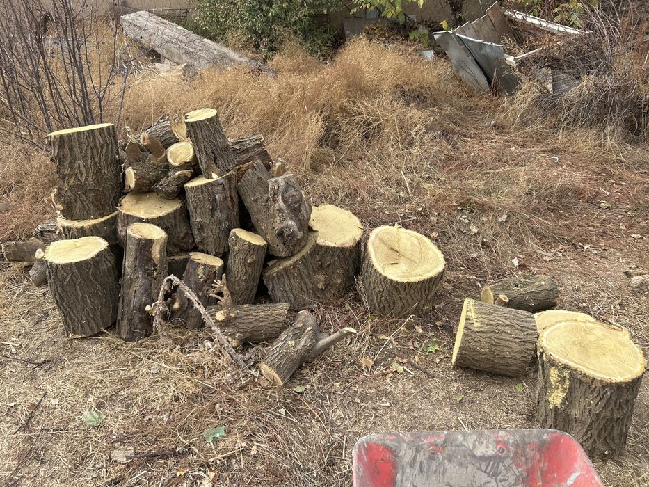 Томар. Бревно готовые по 40 см