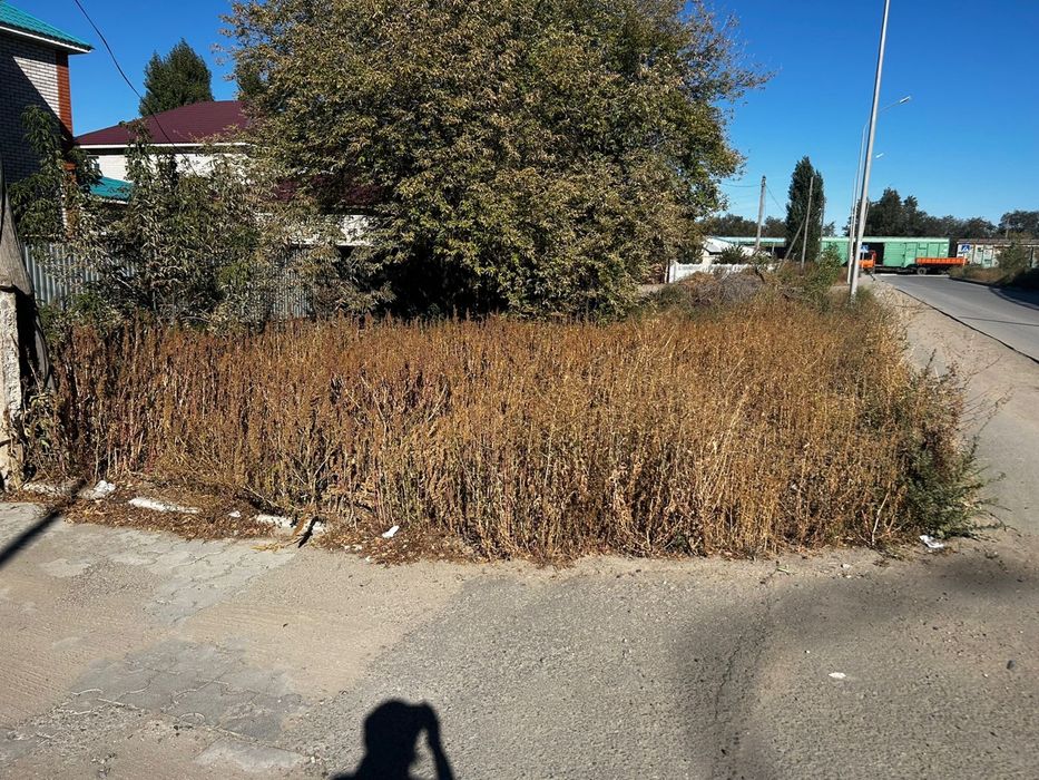 Уборка высохшей травы 10.000 тенге