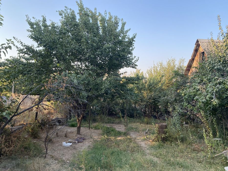 Дача Паркент Ташор СВТ