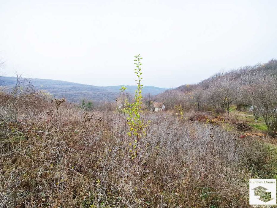 Продава се Парцел в с. Малки чифлик, Област Велико Търново - 1801 кв.м за 28 €/кв.м - Снимка #4