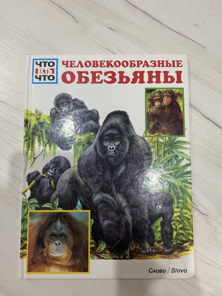 Продаю серию познавательных книг “Что есть что” Темы разные