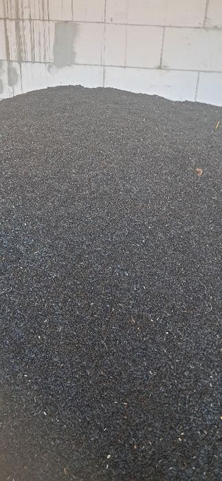 Vând floarea soarelui