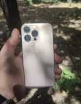 Iphone xr 13 pro karobka