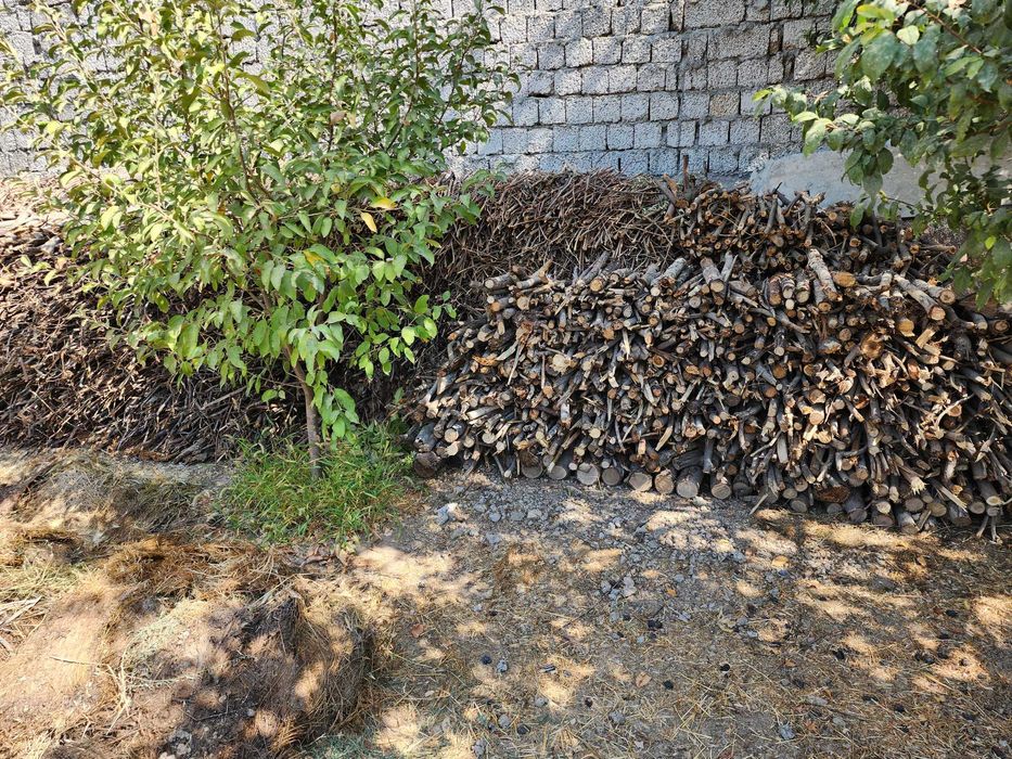 Дрова 350 тыс сум