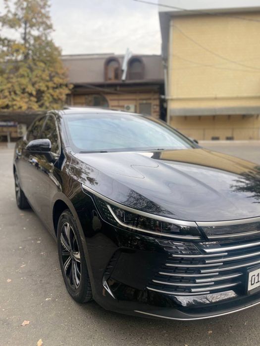 Byd chazor flagship 4 pozidsya