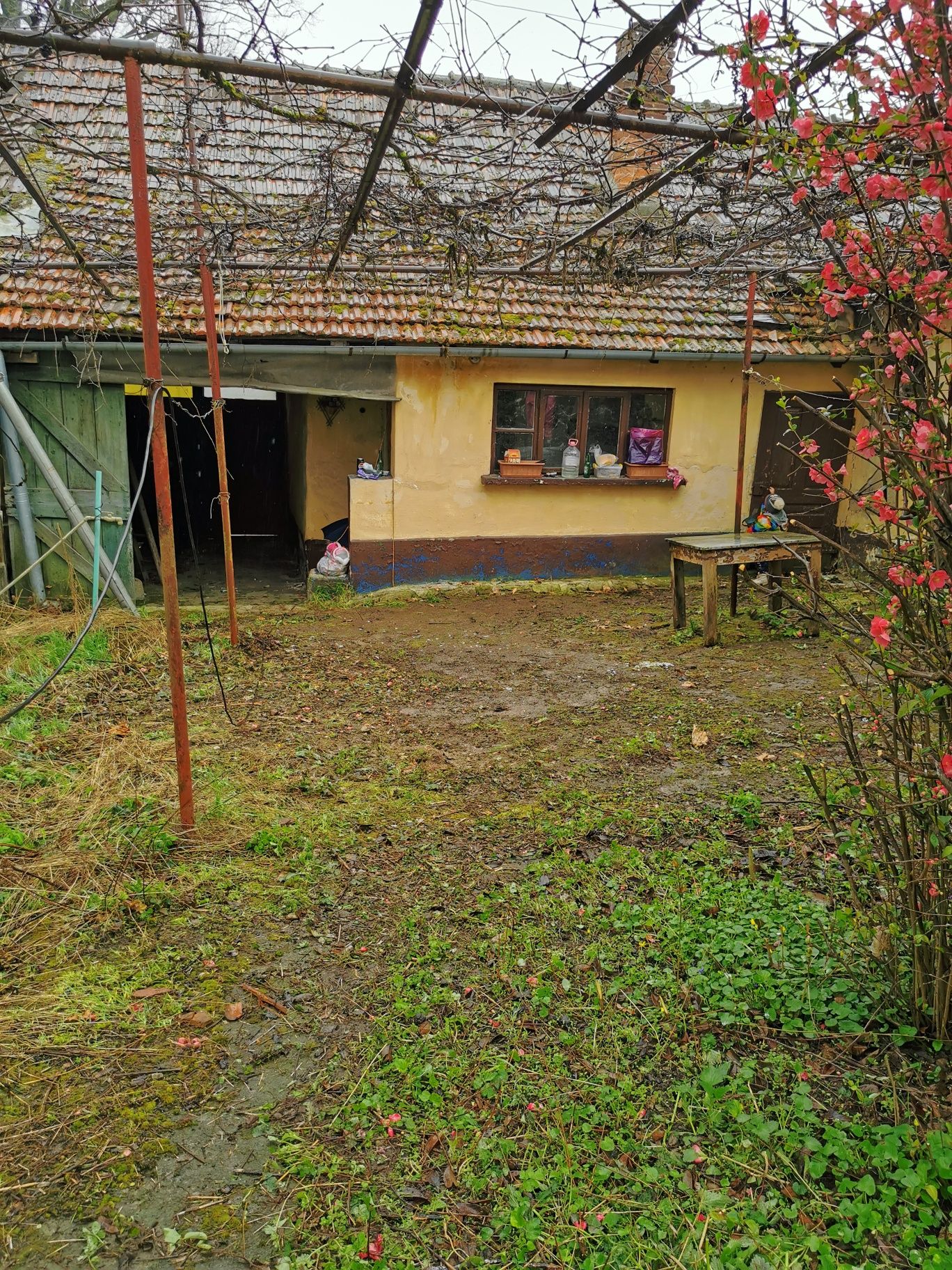 Vand casa in Tinca, vis a vis de băi. Pret valabil luna aceasta!!!