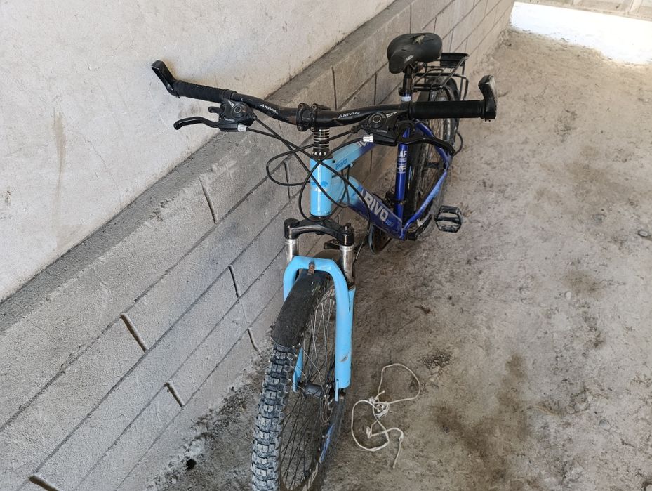 Velosiped yurib turgan