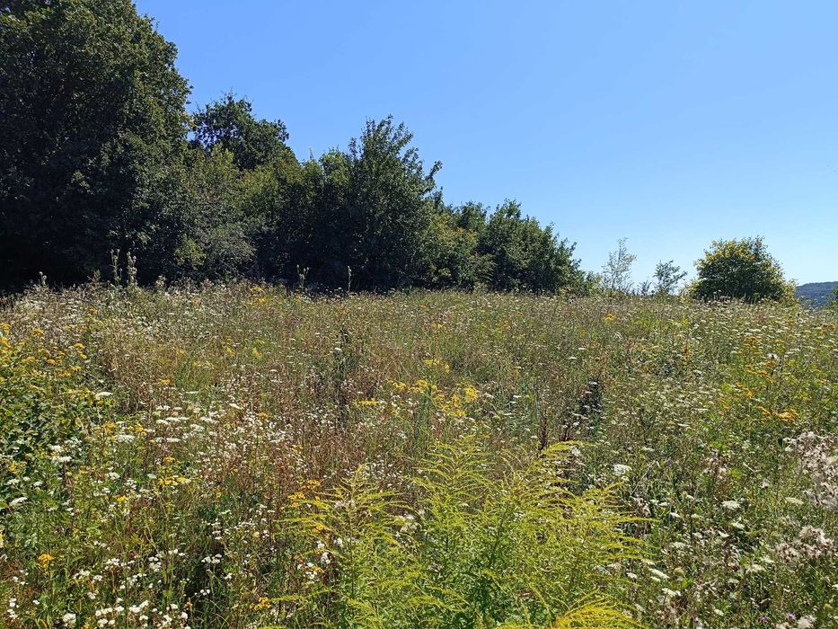Vand teren intravilan Corunca/Panorama superba/Liziera padurii