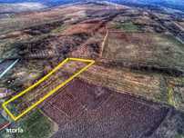Teren de 1,200 mp cu potențial în Covăsânț, strada Liliacului