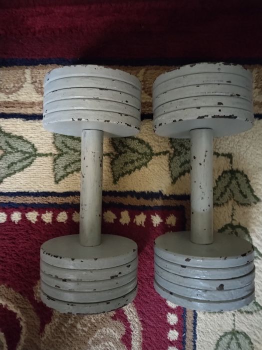 Гантели разборные, каждая по 10 кг