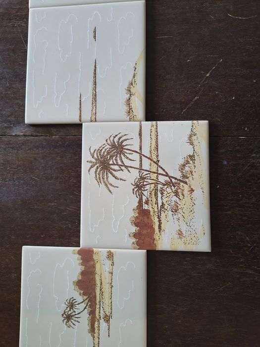 Фаянсови плочки за баня, 20х20 см