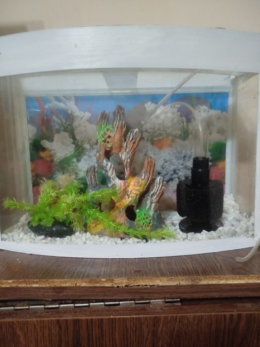 Продается аквариум 15-18 литров