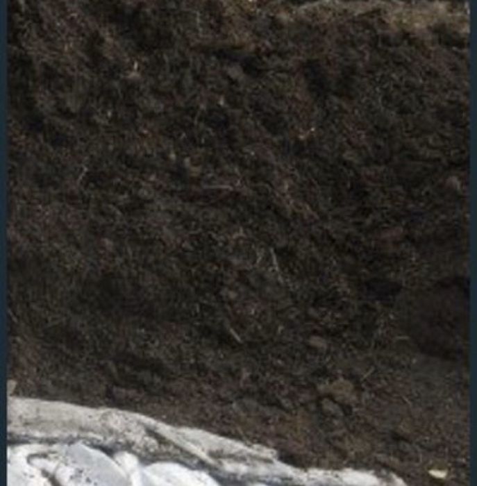 Черназем , перегной