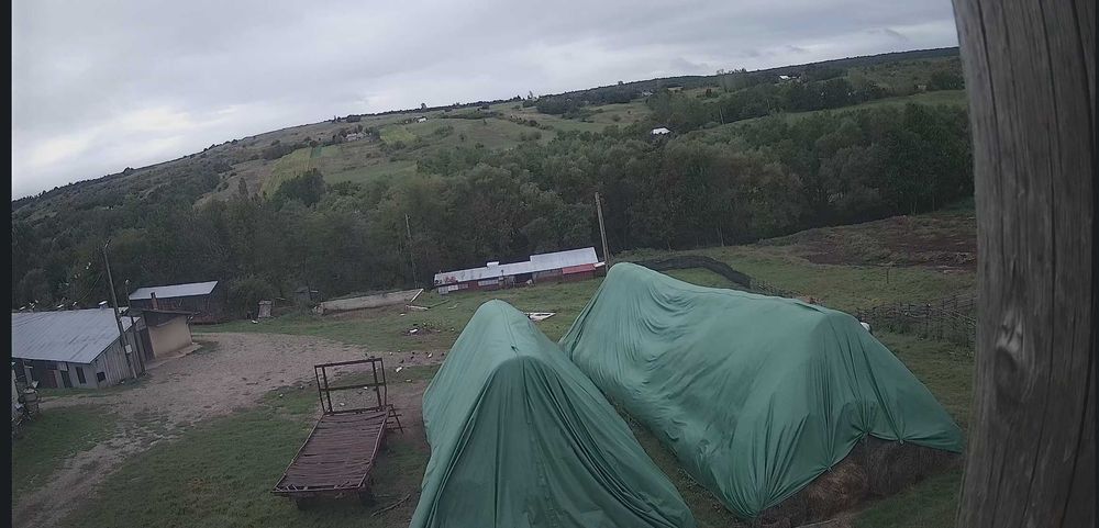 Ferma de vanzare judet Botosani