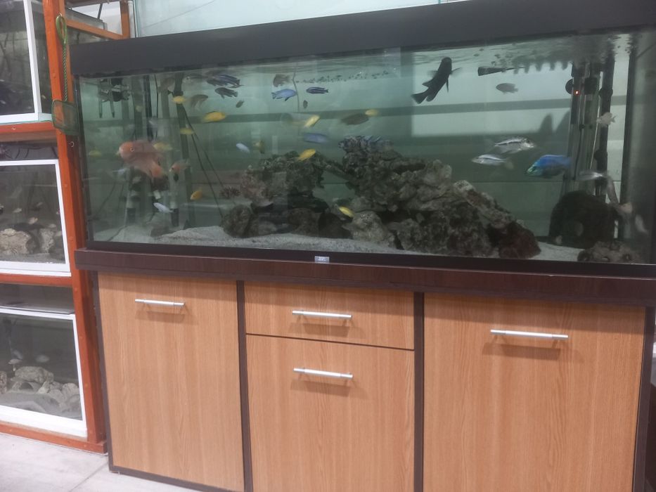 Vand acvariu 450 l complet .