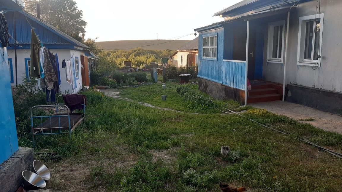 Продаётся дом, Уй сатылады