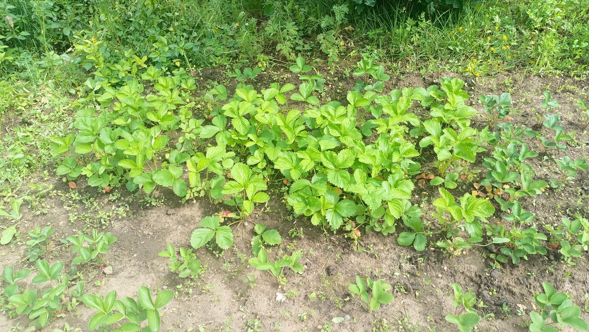 Продам дачу в районе Ахмирово