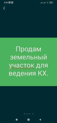 Обмен на лошадей или продажа