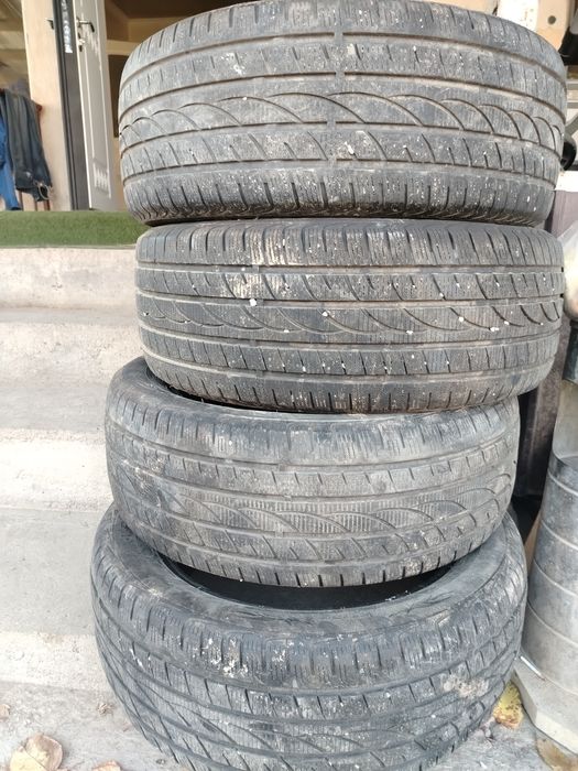 Ризина зима хорошая состояние