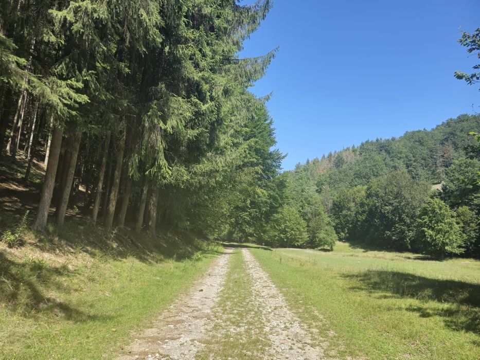 Vind loc pt. 6 cabane 3000 mp teren intravilan Rosia zona  turistica .