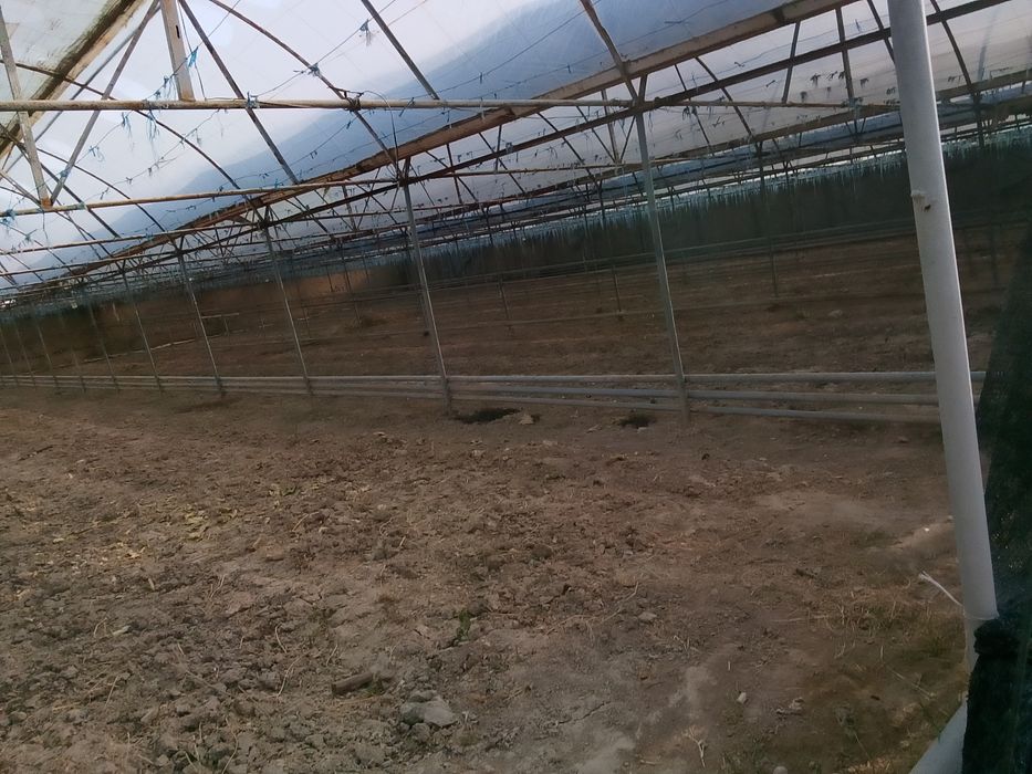 Теплица сотилади теплица сотилади теплица сотилади теплица сотилади