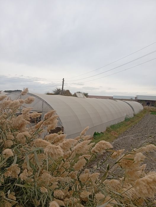 Ер майдони сотилади