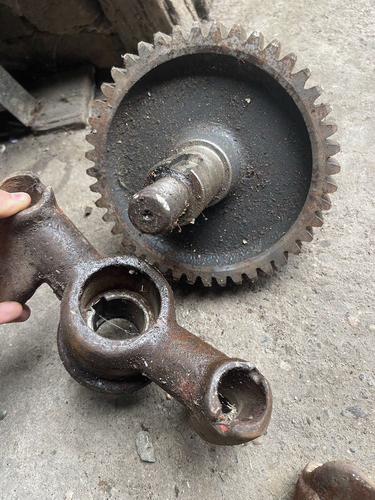 Pinion lely remac maschio