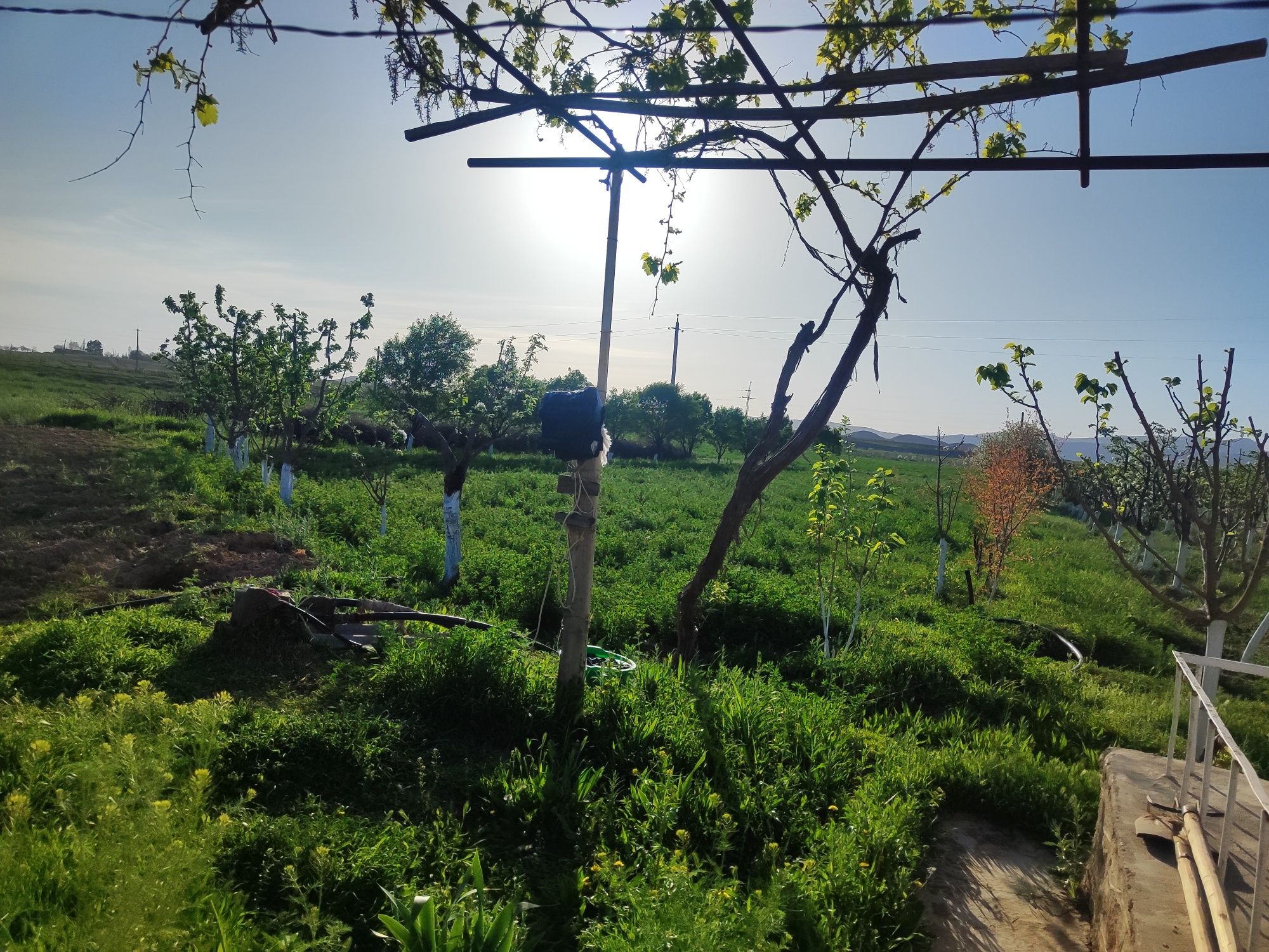 Uy sotiladi yaxshi joy