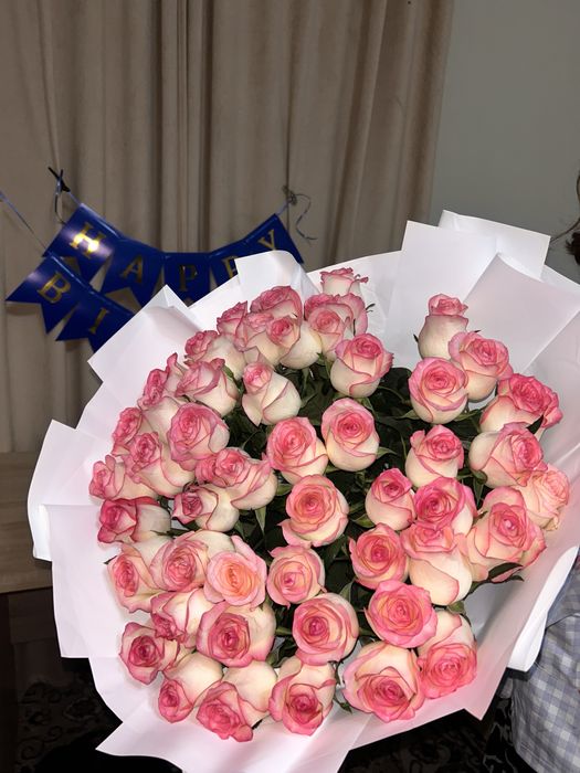 Голландские розы 51 штука