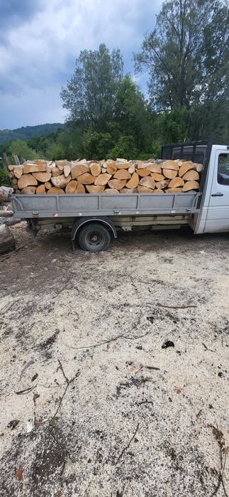 Lemne de foc fag chituci