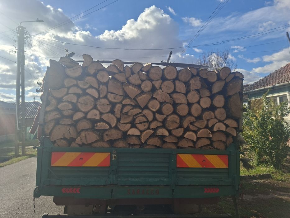 Vand lemne uscate si verzi 0️⃣7️⃣7️⃣3️⃣3️⃣2️⃣3️⃣9️⃣1️⃣7️⃣