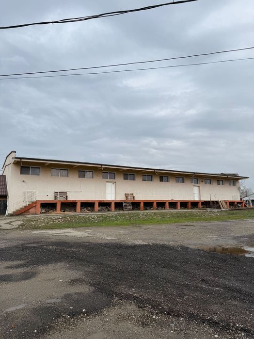 Spații de închiriat