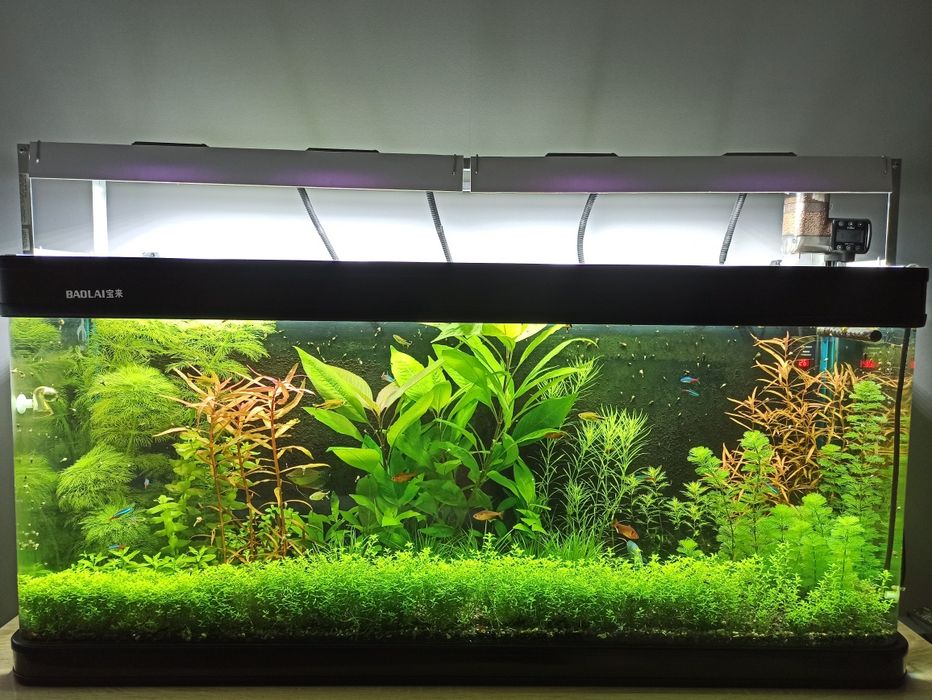 Продам аквариум 200л