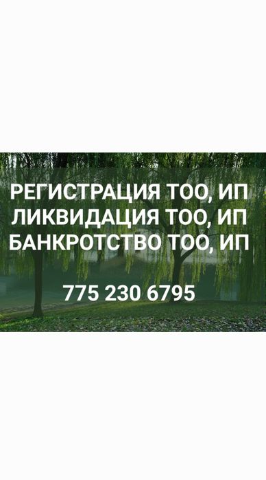 Открытие ТОО,ИП.  Закрытие ТОО,ИП .Налоговые отчеты. Договора все виды