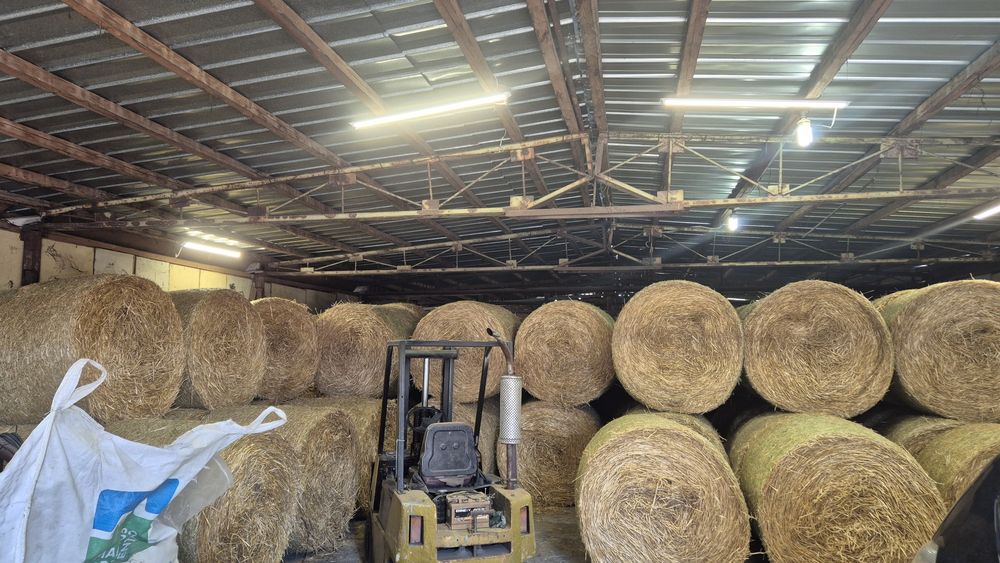 Бали Ролонни  слама  Ечемик и Пшеница