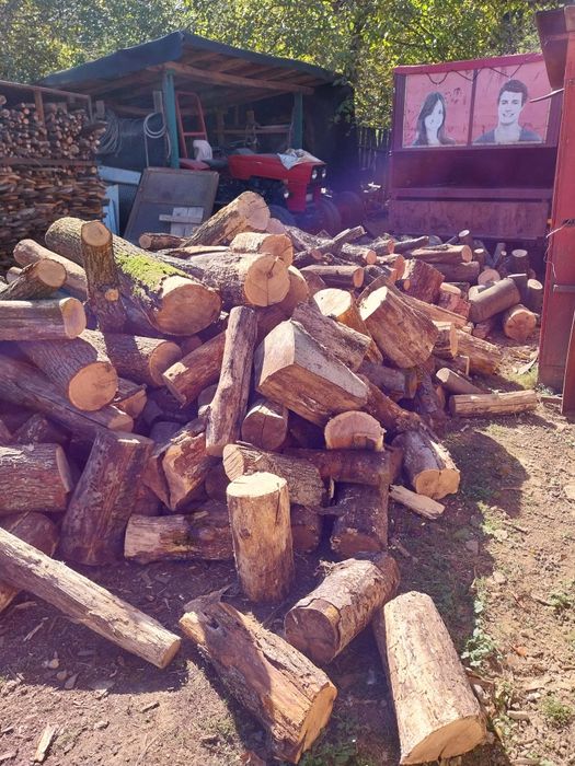 Carbune lignit si lemne foc