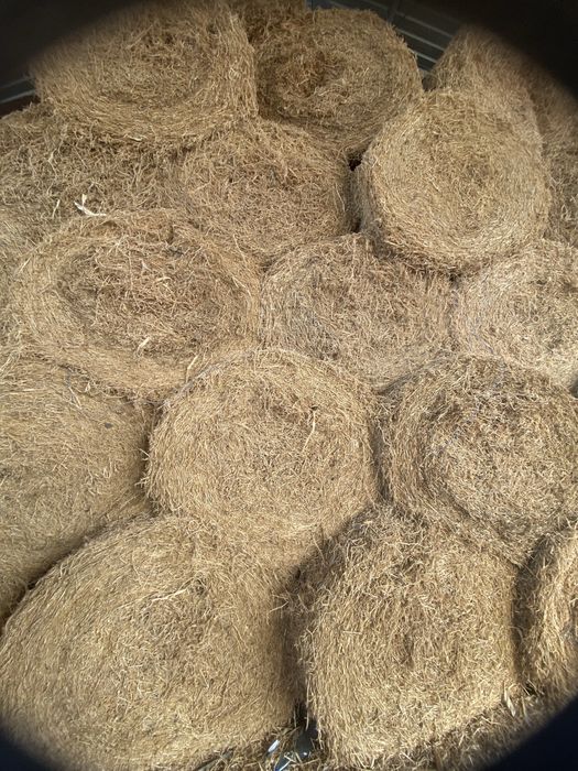 Vand Baloti de mazare, coceni, paie de orzoica si grau