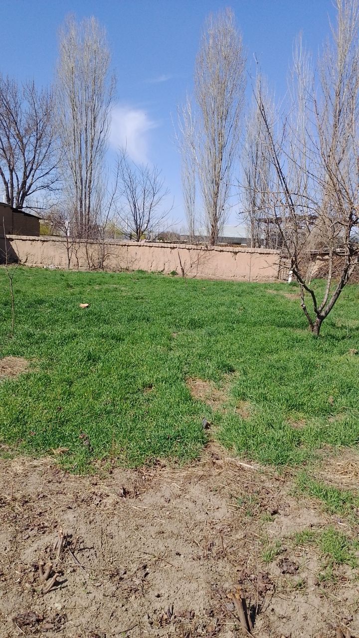 Hovli yer sotiladi