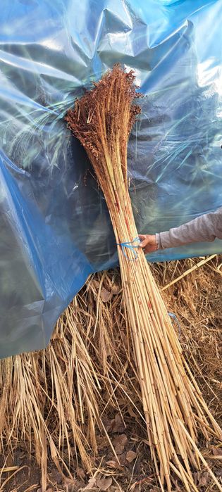 Супурги ( supurgi ] сотилади