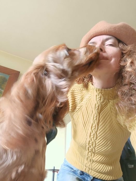 Pet sitter ( plimb caini/vizite pisici)