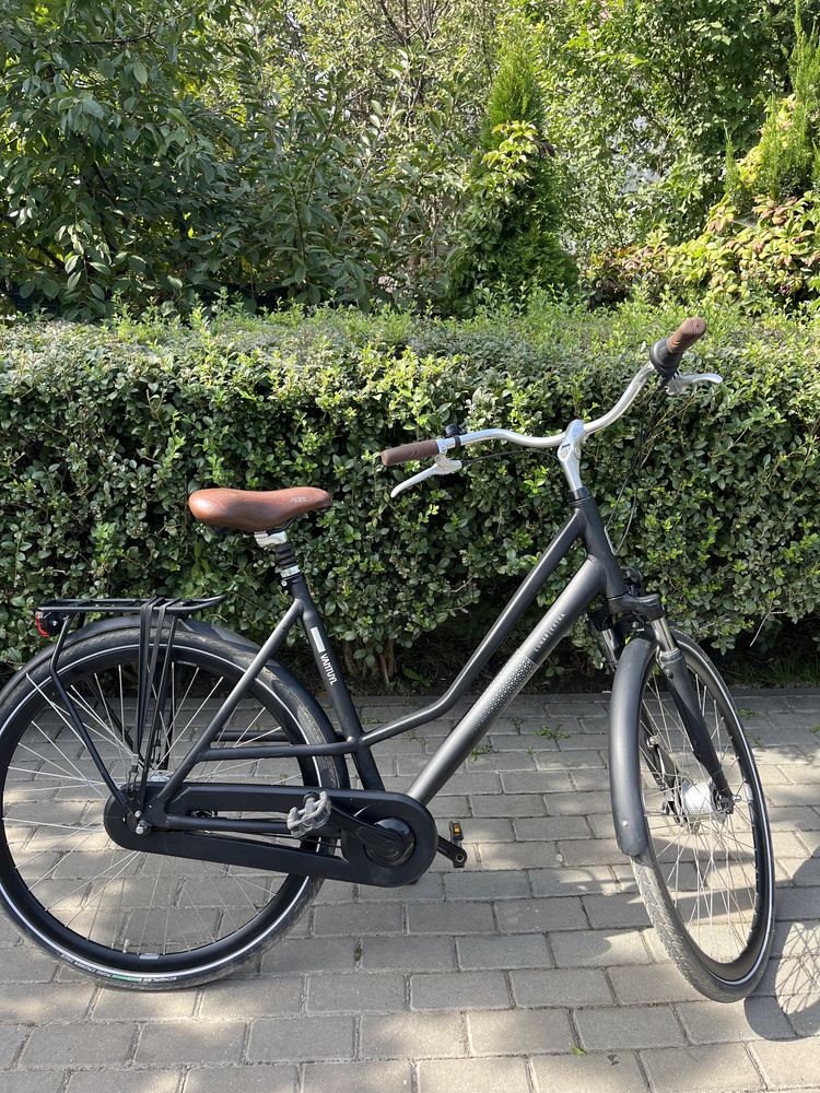 Bicicleta Van Tuyl Lunar Extra